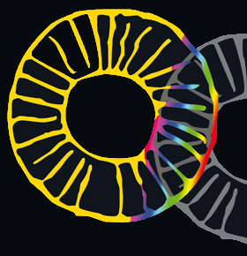 Logotipo de la colección OJOS SOLARES