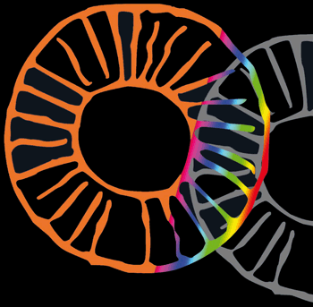 Logotipo de la colecci&oacute;n OJOS SOLARES