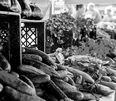 Propuesta didáctica. Unidad didáctica 4